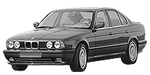 BMW E34 P0085 Fault Code